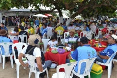 Publicação